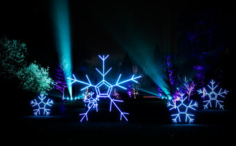 Holiday lights