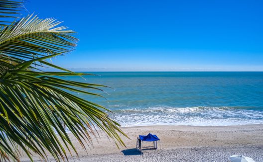 Vero Beach with palm tree and popup